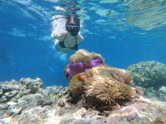 Top Locations to Snorkel In Fort Lauderdale